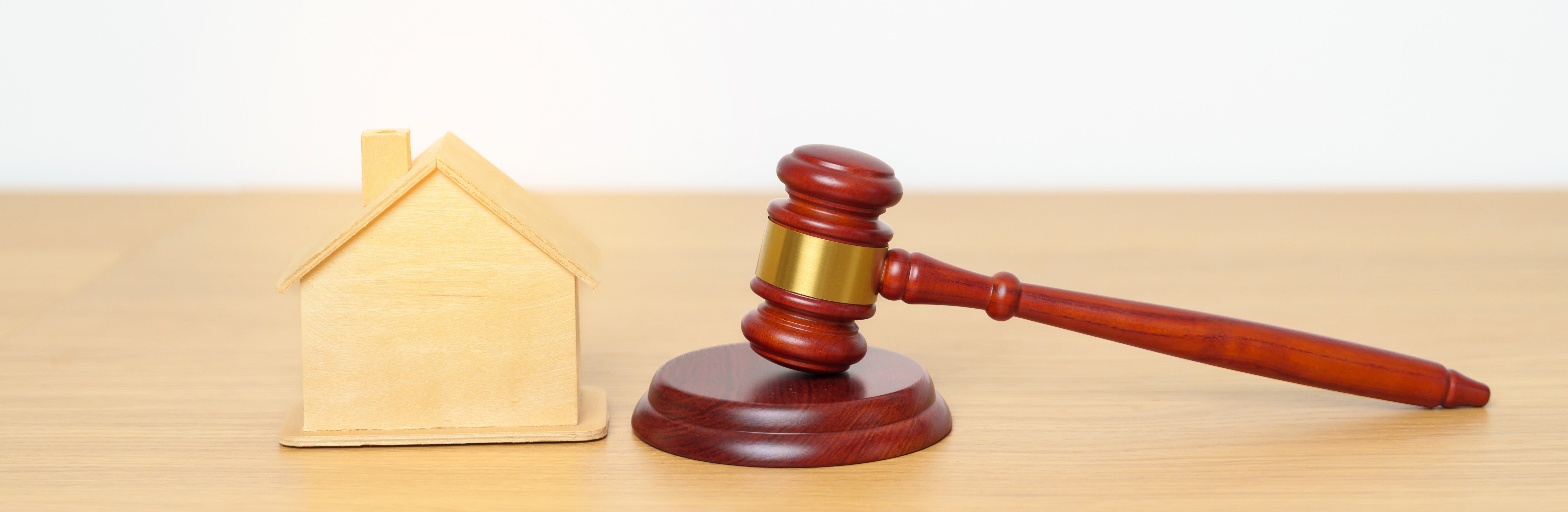 vecteezy_real-estate-law-home-insurance-property-tax-auction-and_24544024-2